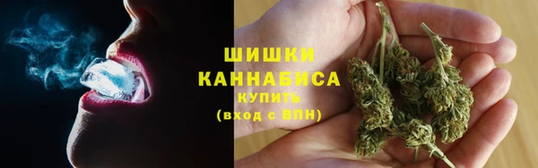 прущая мука Нея