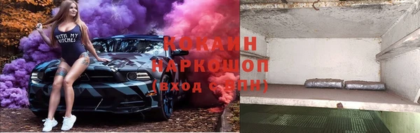 прущая мука Нея