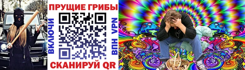 Псилоцибиновые грибы MAGIC MUSHROOMS  darknet Telegram  Приморск 